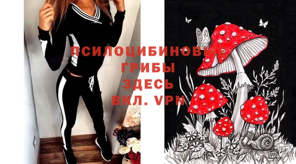ALPHA PVP Ельня