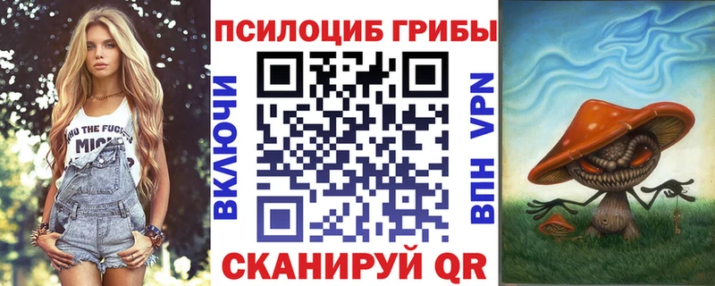 Псилоцибиновые грибы Psilocybine cubensis  Верхнеуральск 